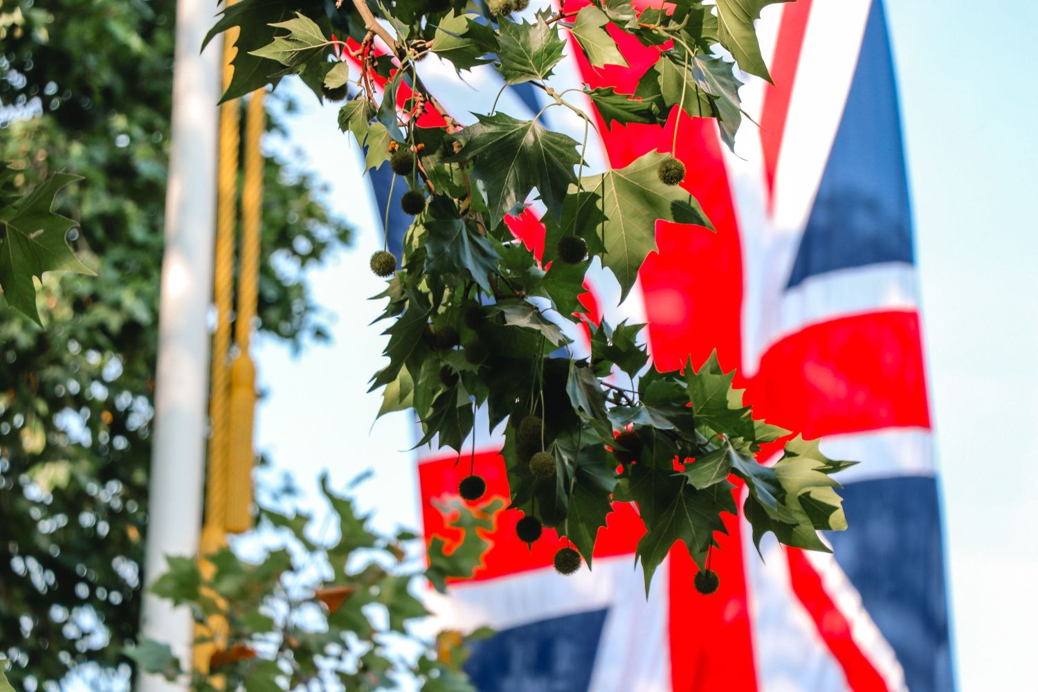 イギリス英語が日本人に向いている理由